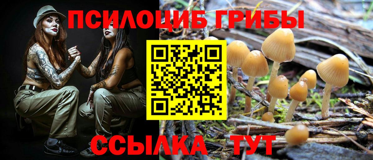 Псилоцибиновые грибы Psilocybine cubensis Верхний Уфалей