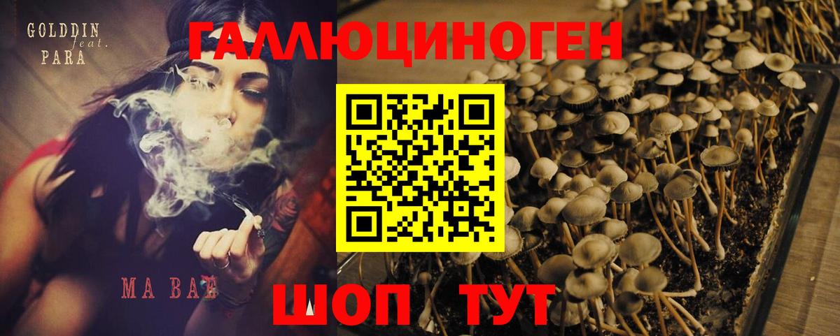 Галлюциногенные грибы мухоморы Верхний Уфалей