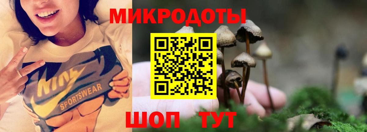 Псилоцибиновые грибы Psilocybine cubensis  Верхний Уфалей 